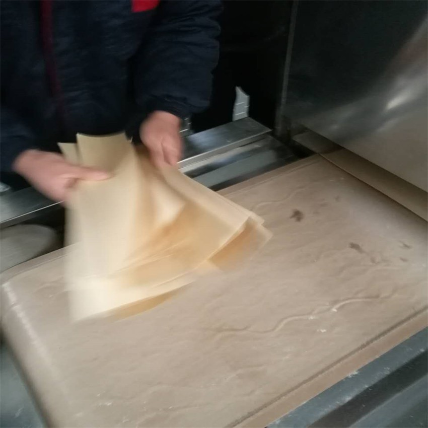 圓木片膠合板微波干燥設備