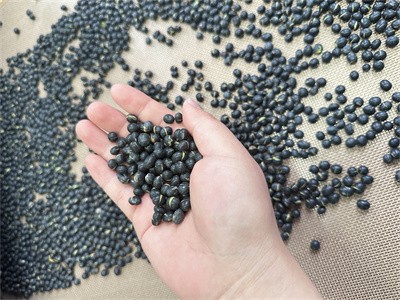 微波烘干設備 五谷雜糧烘干干燥隧道爐