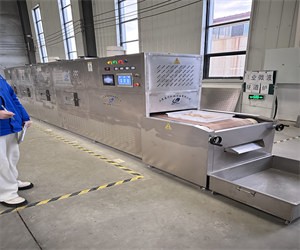 肉制品微波熟化脫脂設備助力食品加工行業