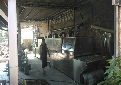 采用茶葉微波殺青隧道爐助力茶產業發展——云南普洱