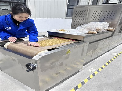 代替油炸鍋的非油炸花生米微波烘烤設備