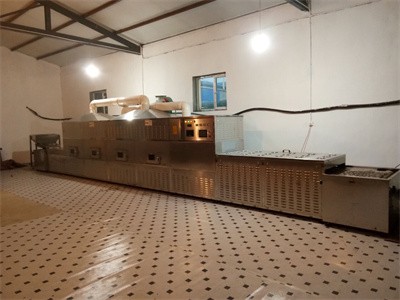 微波設備烘烤瓜子的工作原理是什么