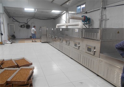 隧道式黃粉蟲微波烘干設備的優勢是什么