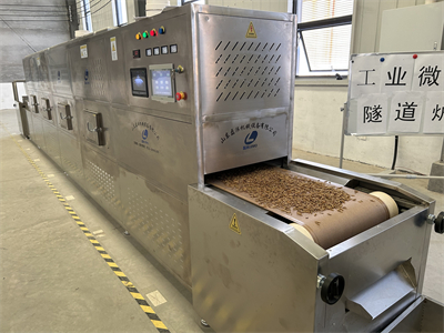 隧道式黑水虻微波烘干設備成為了業界的新寵