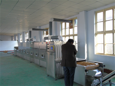 隧道式黃粉蟲微波烘干設備