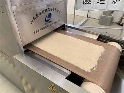 微波設備烘干白芝麻香味濃郁、用途廣泛 