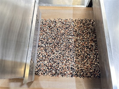 雜糧微波連續烘干殺蟲卵隧道爐