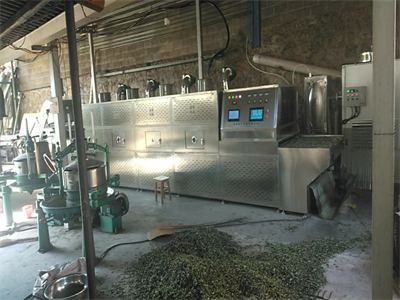 茶葉微波殺青設備正在逐步取代傳統殺青方式