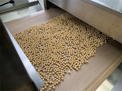 你知道利用微波對黃豆進行干燥殺蟲卵的原理嗎
