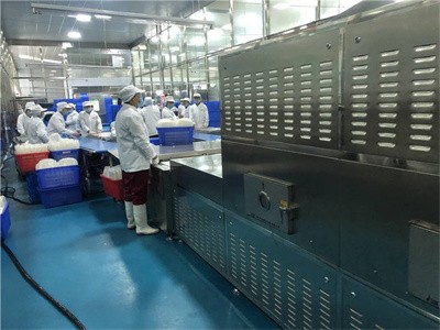 Tunnel style microwave heating equipment for fast food industry