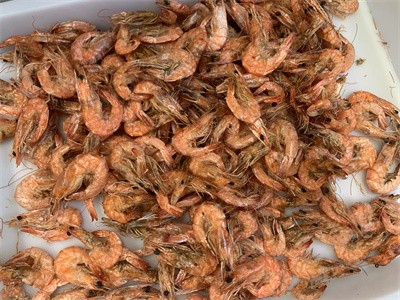 The advantages of using microwave technology to bake dried shrimp