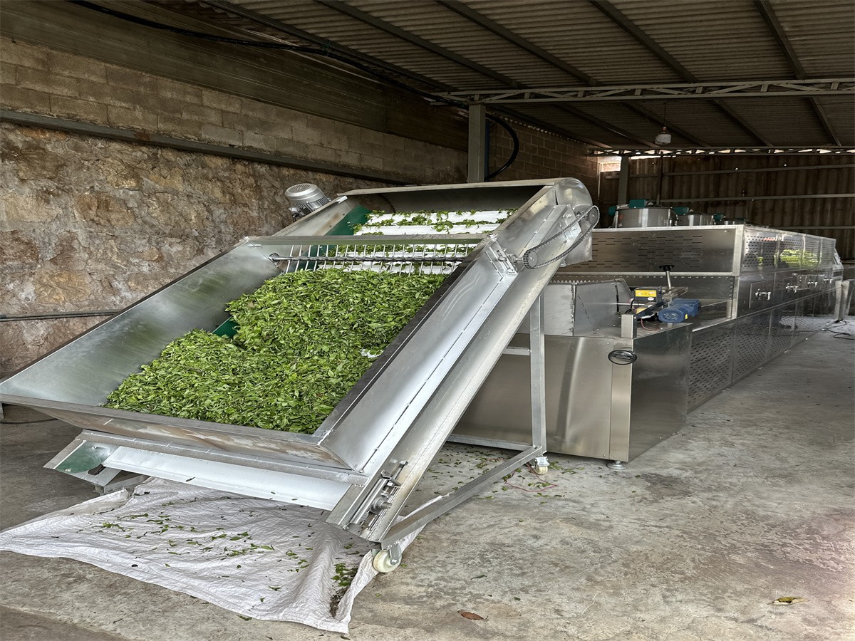 Microwave light wave combined tea withering equipment