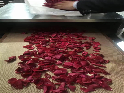 微波烘干設(shè)備，讓鮮花的美麗不褪色不凋零