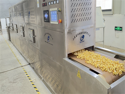 關于爆米花烘干選擇使用微波設備的考量情況