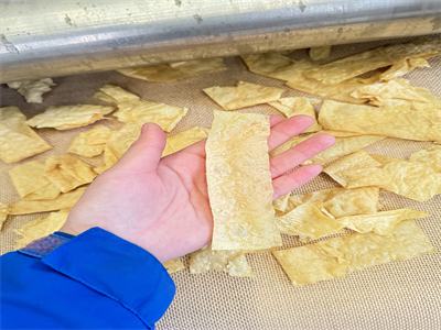 為何豆皮烘干會選擇微波隧道爐來完成？