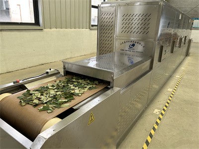 Microwave drying insecticidal tunnel furnace for flower tea