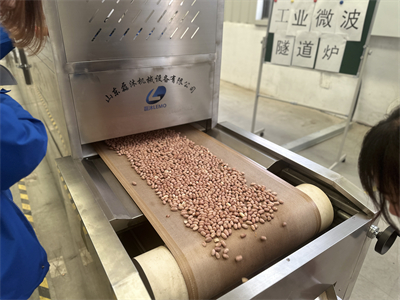 由微波烘烤設(shè)備引發(fā)的產(chǎn)業(yè)變革，改變了花生米的加工方式