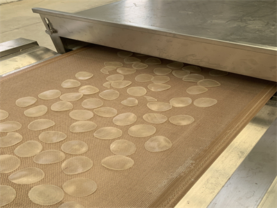 微波膨化隧道爐在蝦片生產中的應用具有多方面的優勢