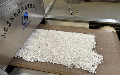 Microwave equipment drying alumina particles