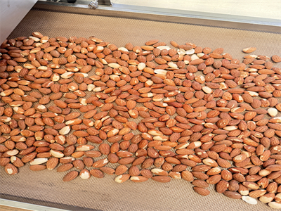 微波烘烤巴旦木仁零添加，健康更香脆，產能翻倍