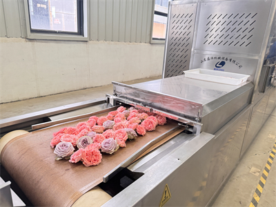 微波烘干設備留住了鮮花的美麗讓轉瞬即逝的美好得以延續