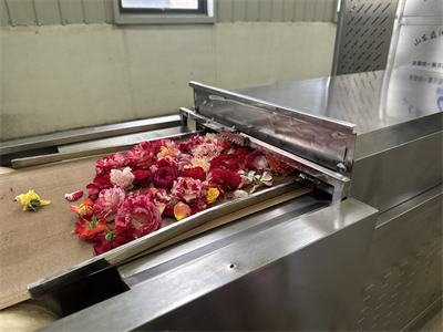 微波隧道爐烘干技術(shù)為鮮花保鮮領(lǐng)域帶來了革命性的突破