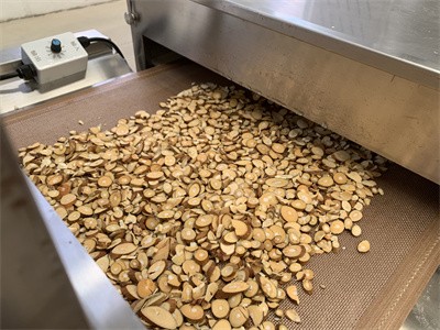 Drying and insecticidal treatment of traditional Chinese medicinal materials