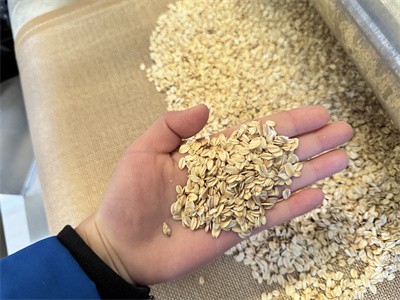 Microwave equipment has ushered in a new era of oat grilling