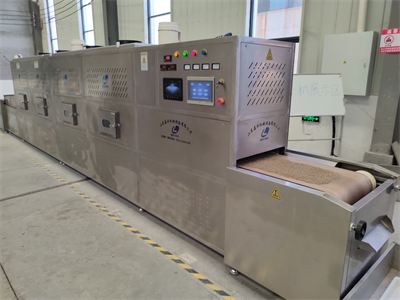 在孜然加工領域，微波烘干隧道爐的應用尤為引人注目