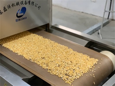 What are the drying methods for corn kernels