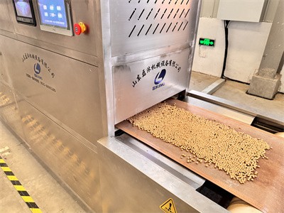 About soybean microwave baking equipment
