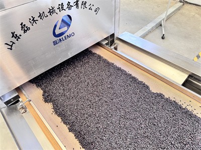Microwave equipment: a new tool for drying and insecticidal black rice
