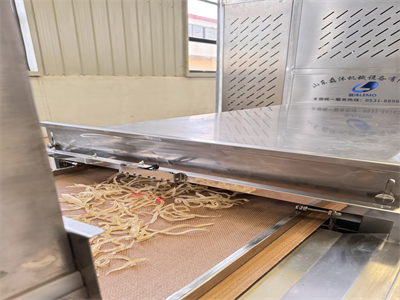 微波膨化隧道爐可以免油加工豬皮