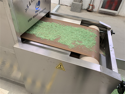 貓砂微波烘干設備的出現，改變了傳統貓砂的生產模式