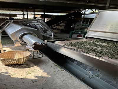 微波殺青設備的出現，為茶葉加工帶來了全新的解決方案