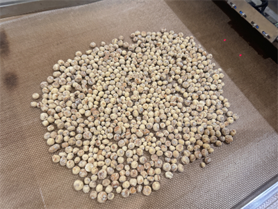 微波烘烤設備保留了油莎豆的營養價值，提升了產品品質