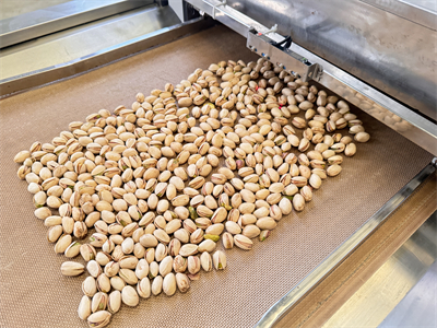 現代食品工業是如何利用微波設備對開心果進行烘烤的呢？