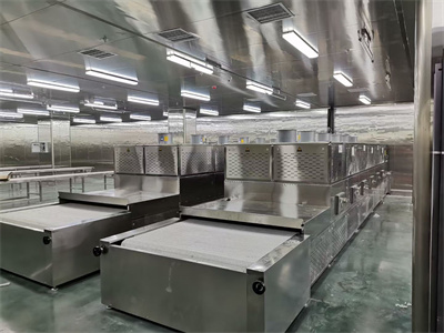 隧道式盒飯微波加熱設備的推廣正在改變餐飲行業的服務模