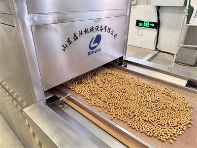 Microwave equipment for drying dog food pellets