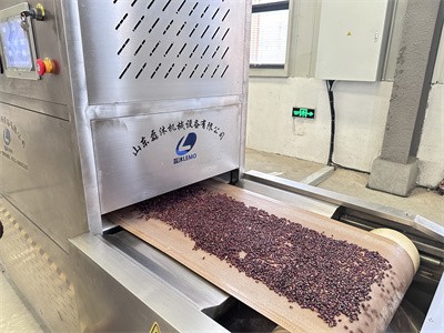 如何使用微波設備對紅豆進行預熟化處理