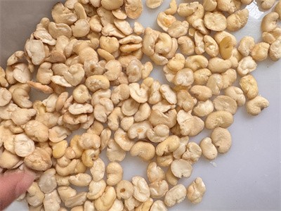 How are fava beans dried using microwave equipment?
