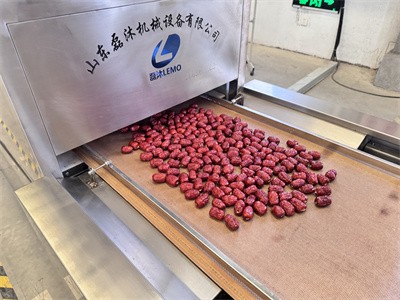 去核后的干大棗使用微波進行穿透式殺蟲卵處理