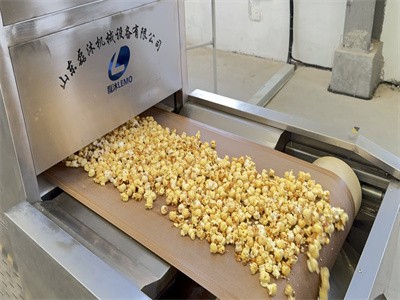 在爆米花烘干加工中 微波烘干和電加熱烘干兩種方式的區別