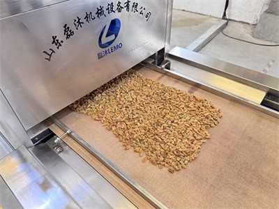 微波可以用來對葡萄干進行干燥殺菌處理嗎
