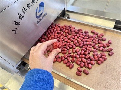 Microwave insecticidal eggs of dried fruits such as jujube