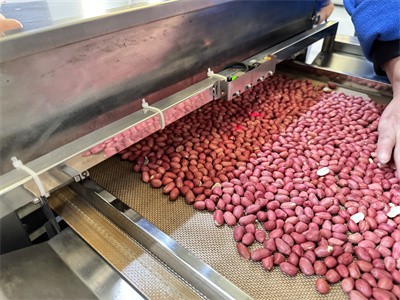 花生米的非油炸烘烤工藝是怎么回事呢？