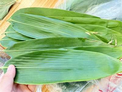 大批量粽葉可以怎么烘干呢？