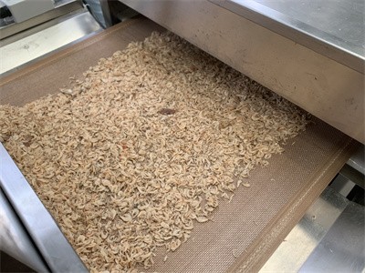 Shrimp skin microwave drying and sterilization equipment？