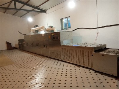 Sunflower seed microwave baking machine？