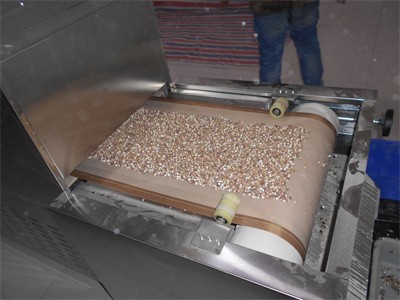 關于芡實的微波預熟化處理